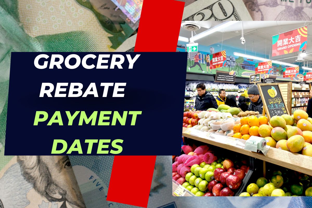 Canada Grocery Rebate Payment Dates September 2024 - Check Eligibility, Amount & Reality Check 