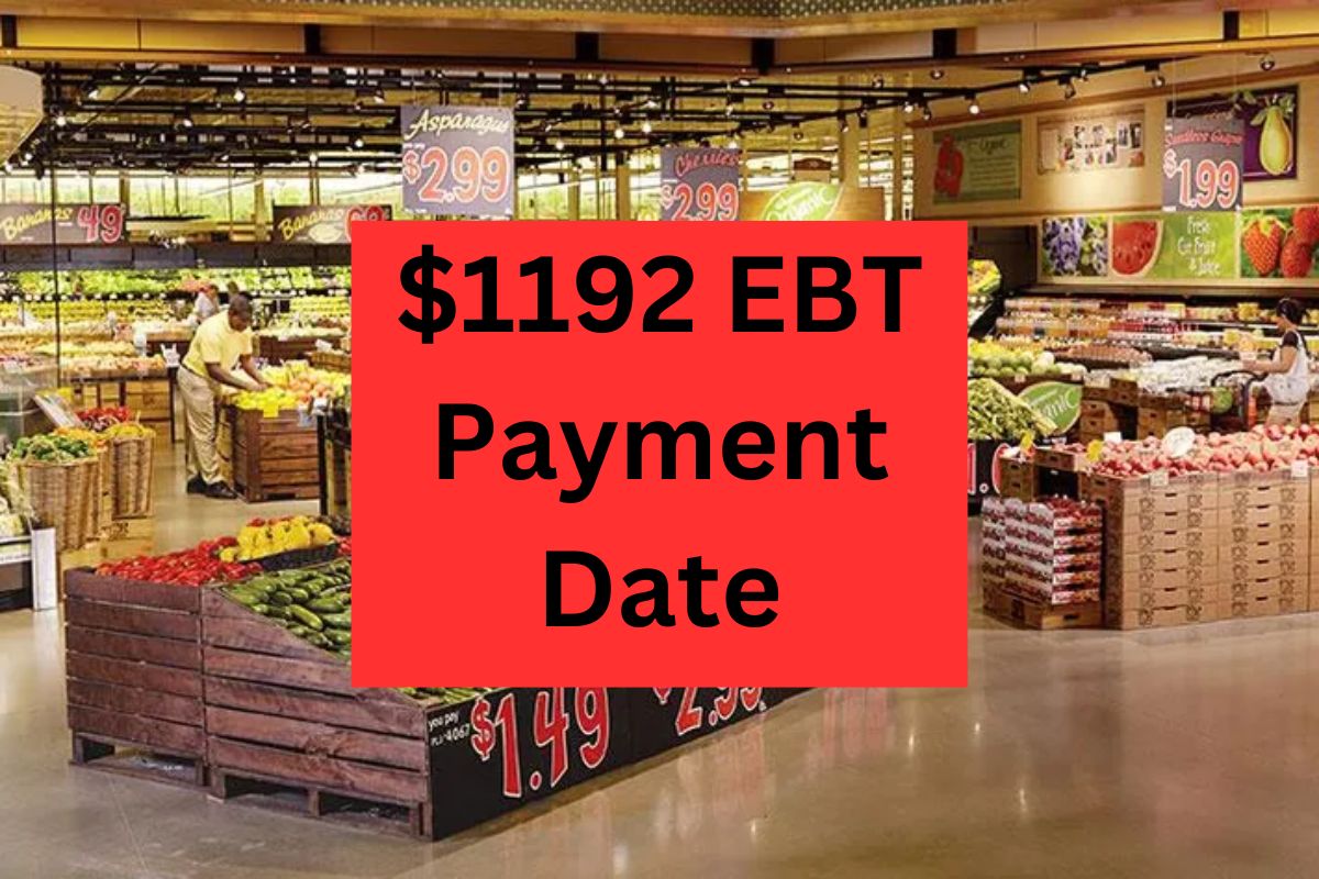 $1192 EBT Payment Date – Know SNAP Eligibility & Food Stamp Amount Updates?