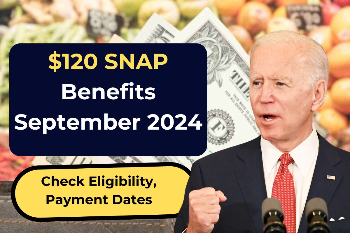 $120 SNAP Benefits September 2024 Coming – Know Eligibility, Payment Dates and Apply Process