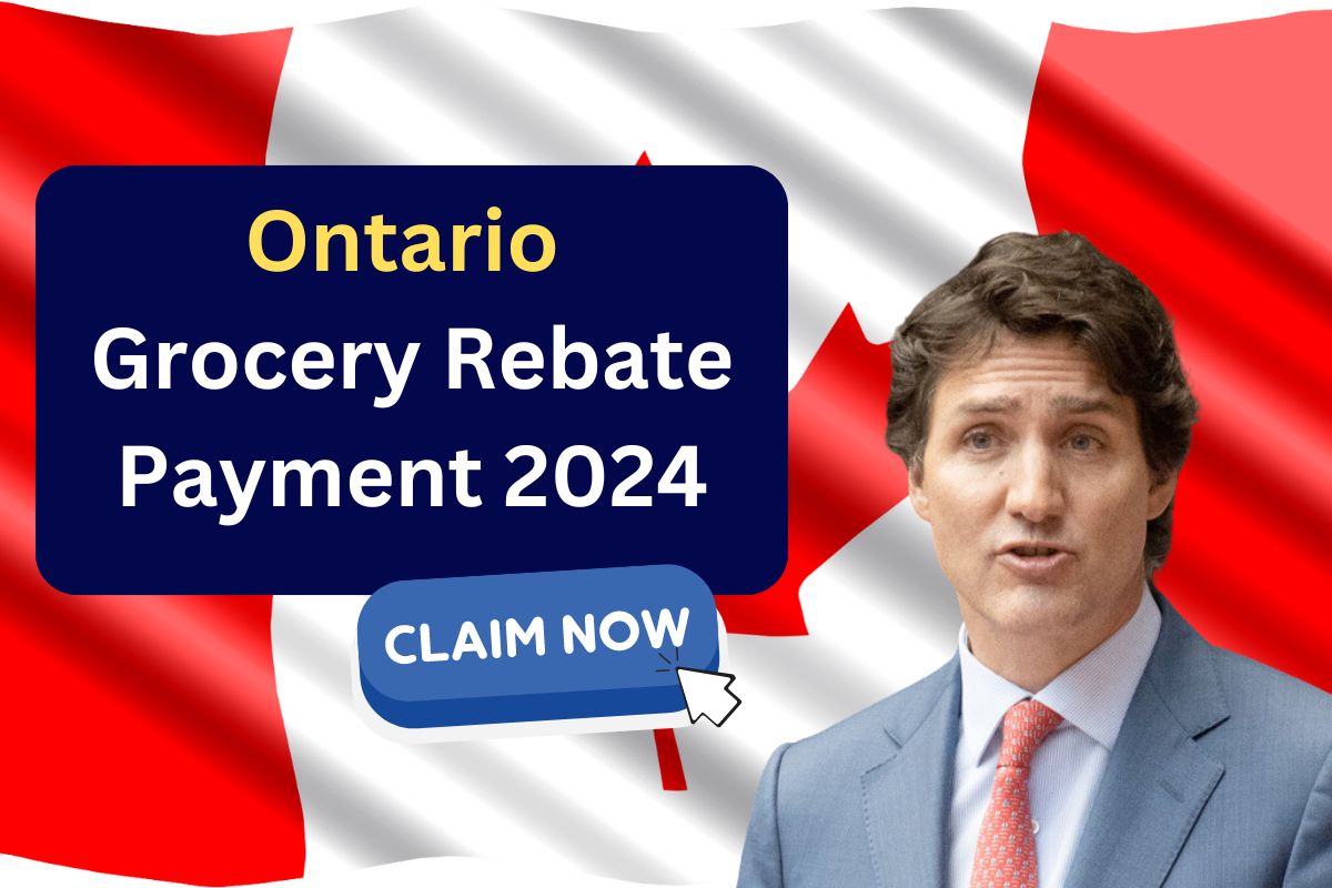 Ontario Grocery Rebate Payment 2024 - Know Who is Getting and How Much Payment is Coming? 