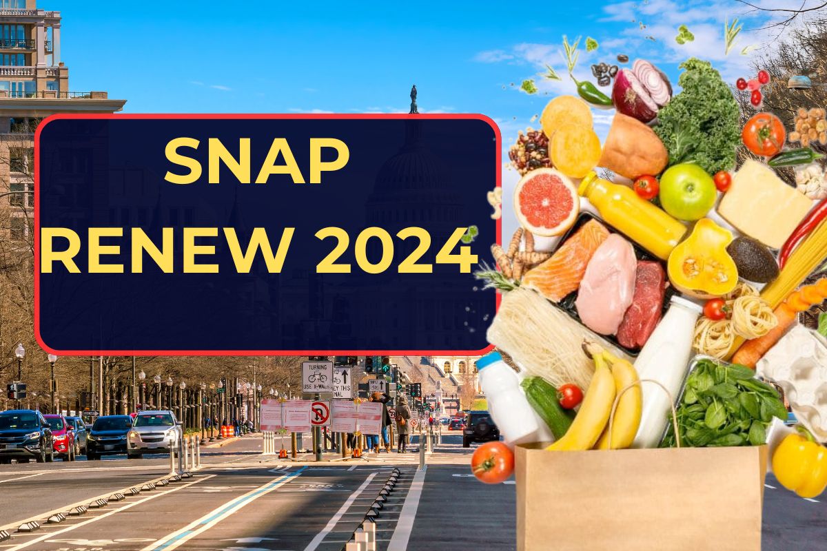 SNAP Renew 2024- Who is Eligible and How to Get Your Access Food Stamps? Know Details