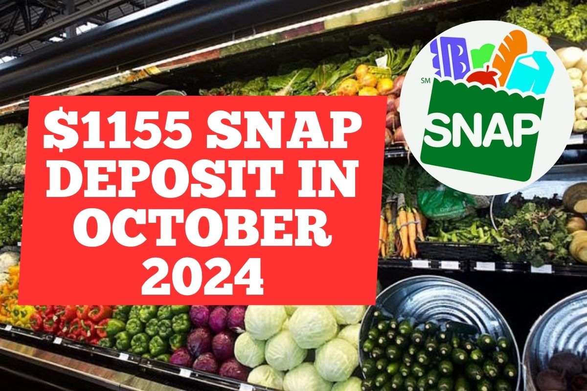 $1155 SNAP Deposit in October 2024: Know State-Wise Payment Dates, Eligibility & Application Procedure